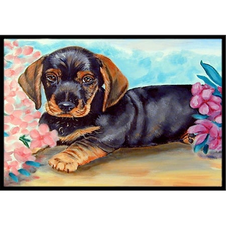 Carolines Treasures 24 x 36 in. Dachshund Indoor Or Outdoor Doormat 7501JMAT